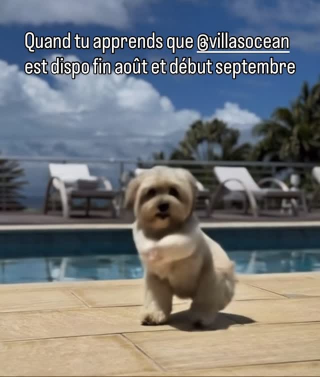 Post 5 by Villas Océan on Instagram (video)