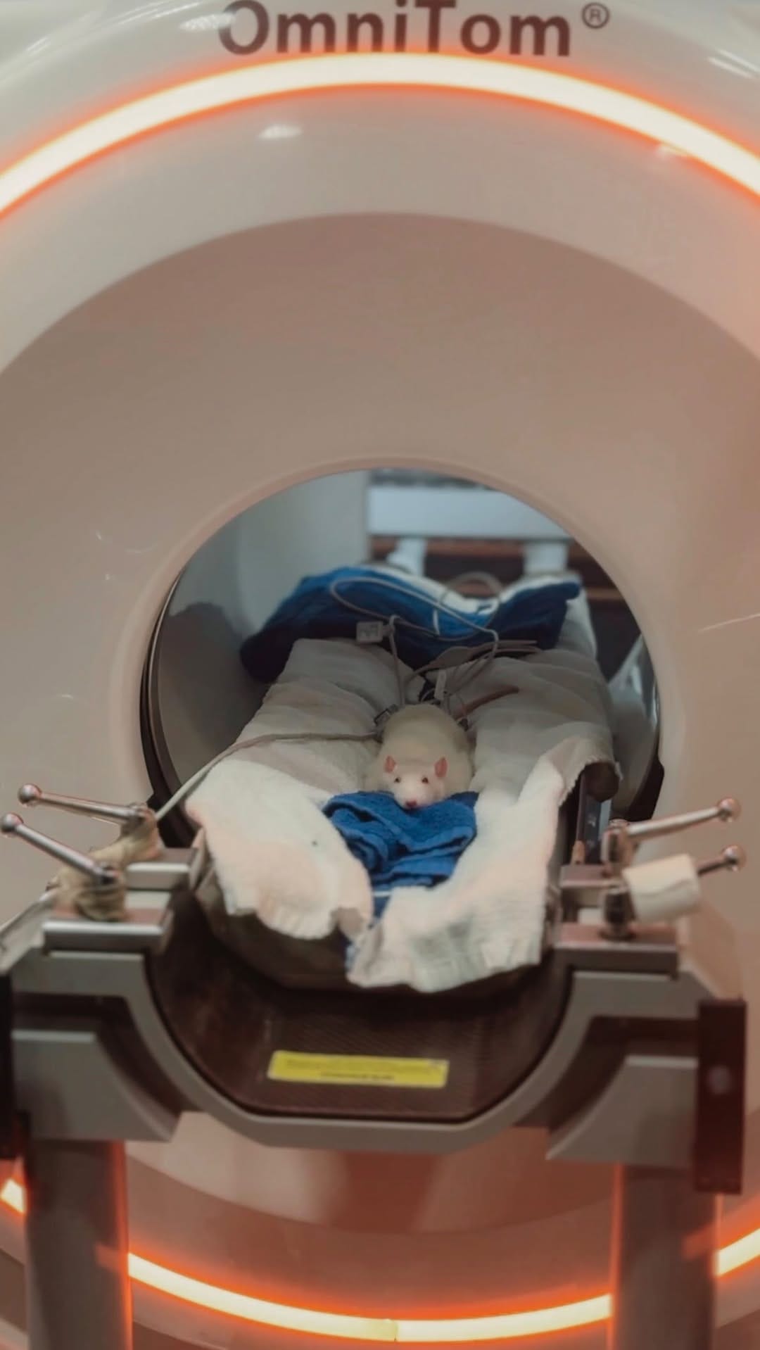 Post 7 by Dr. Sydney Pokard | Veterinarian 🐾 on Instagram (video)