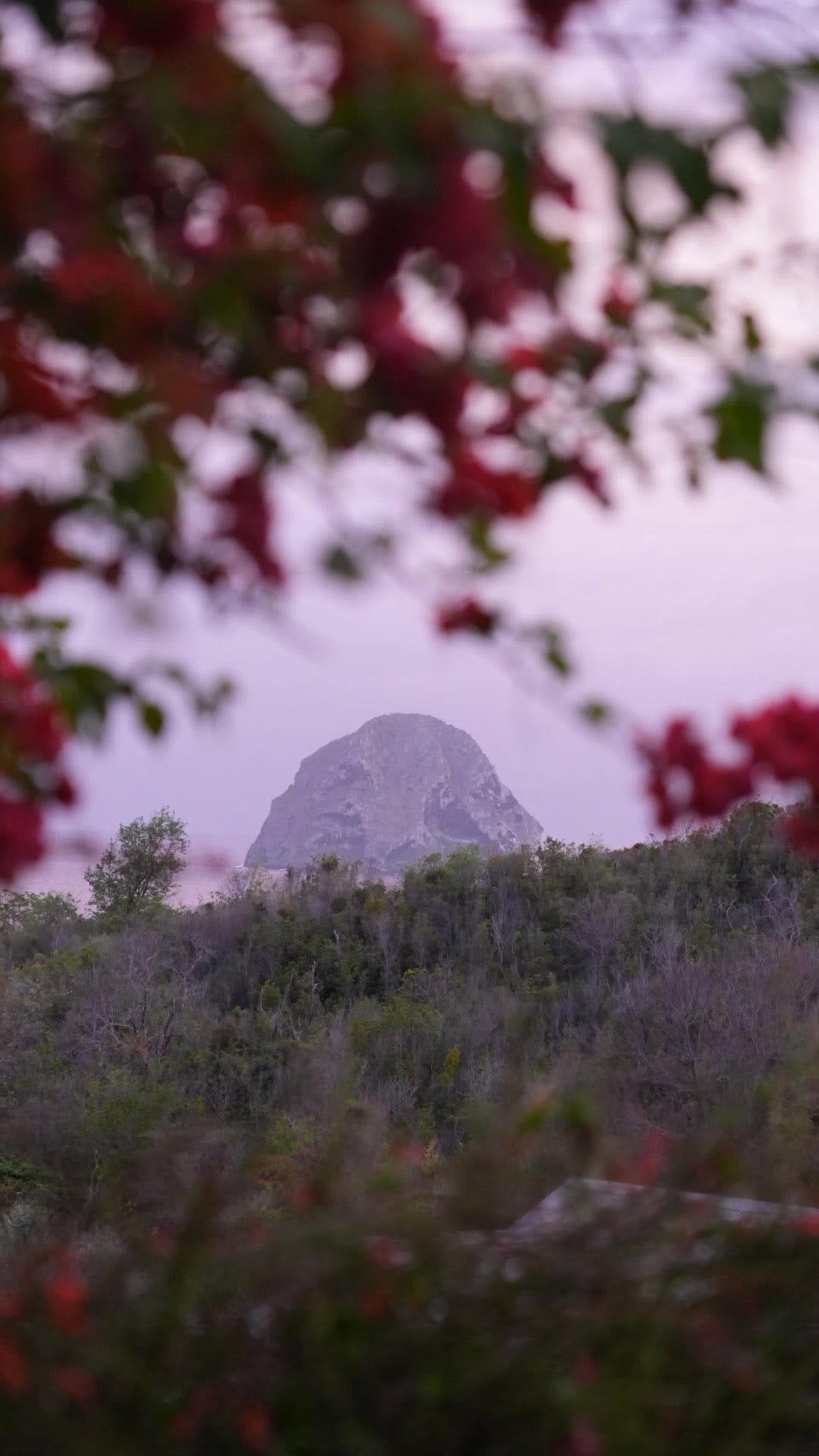 Post 5 by Exotic Villas Martinique ☀️ Slow Life au Diamant 🌴 on Instagram (video)