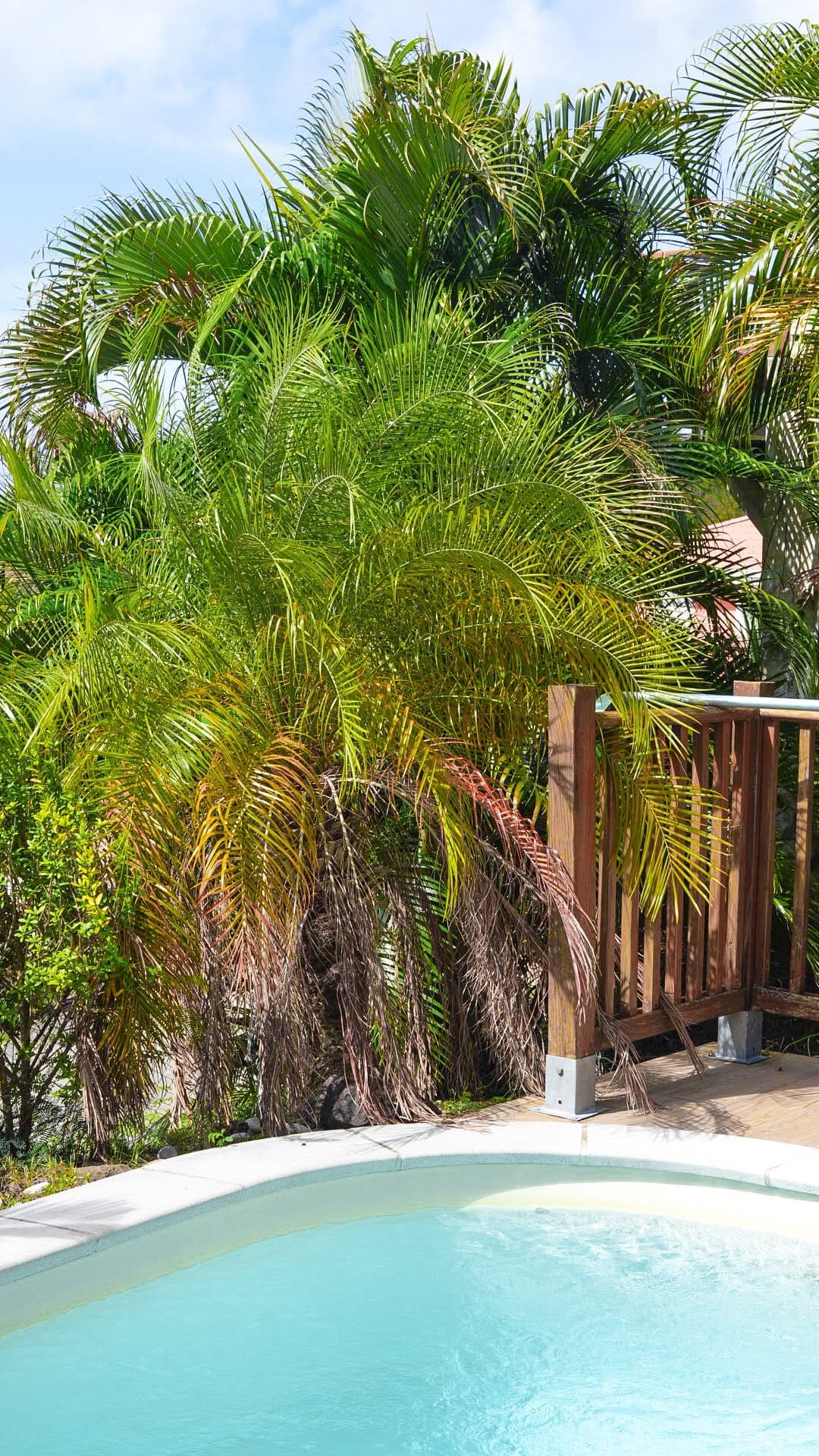 Post 6 by Exotic Villas Martinique ☀️ Slow Life au Diamant 🌴 on Instagram (video)