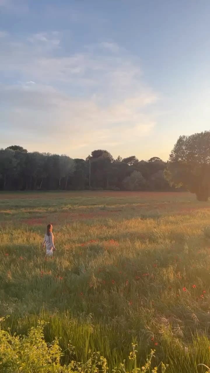 Post 3 by Domaine de la Blancherie on Instagram (video)