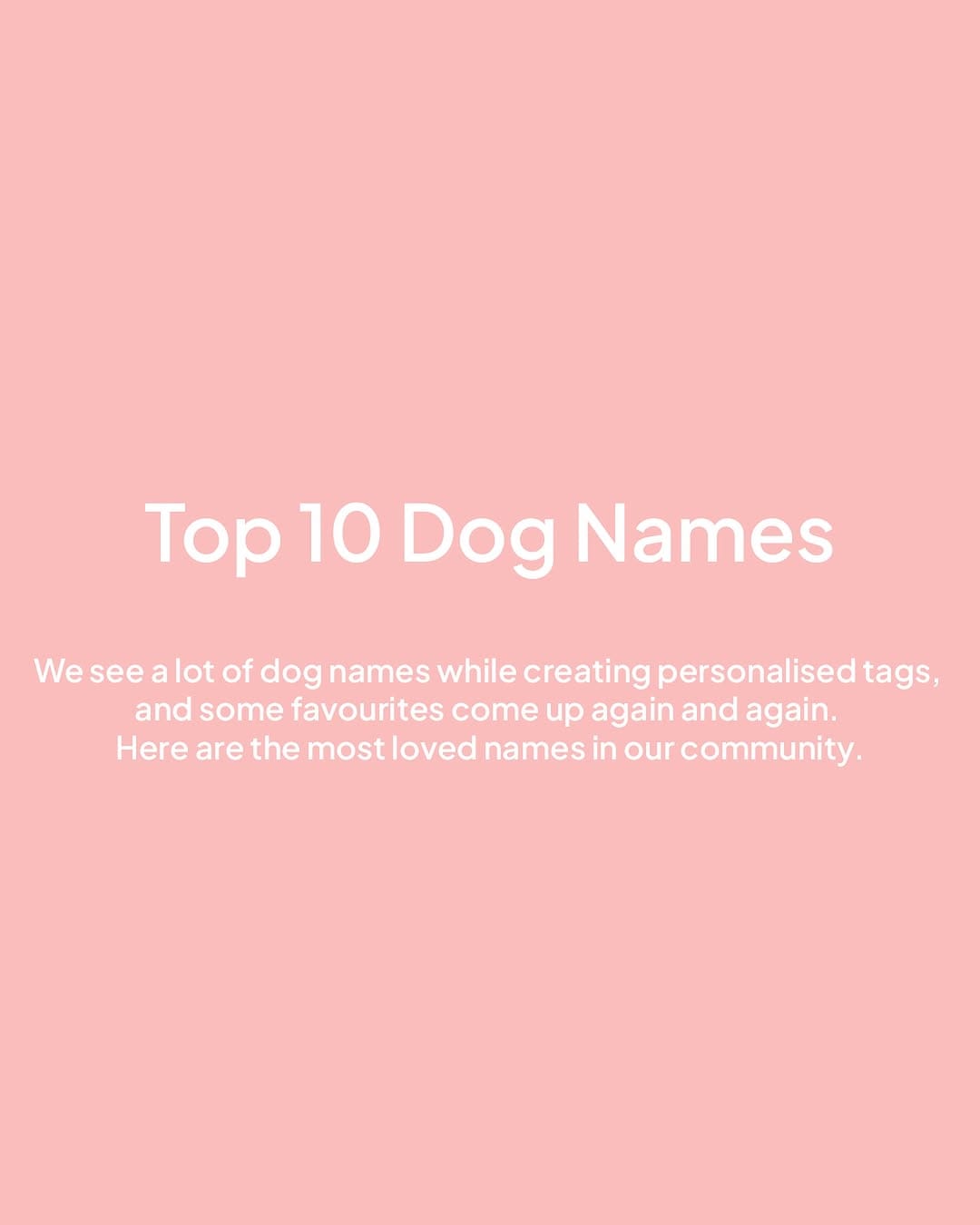 Post 10 by Bailey&Bone | Pet Accessories on Instagram (carousel)