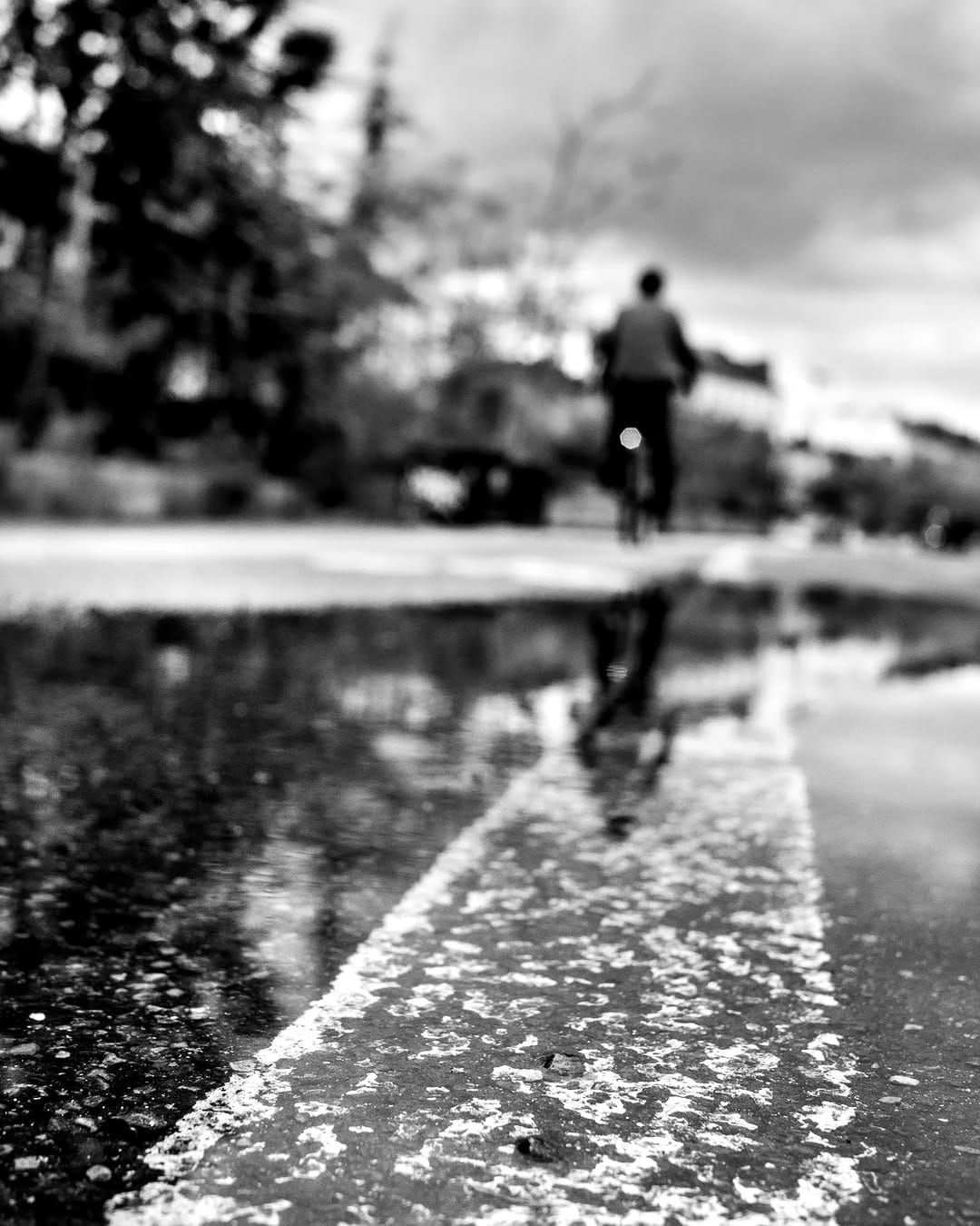 Post 5 by Patrice Jeannin on Instagram (image)