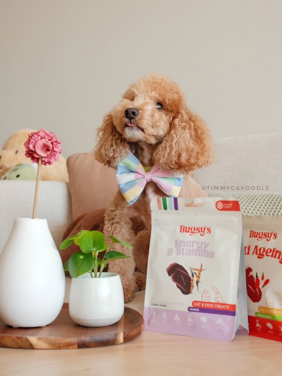 Post 1 by Bugsy Holistic Pet Products on Instagram (carousel)
