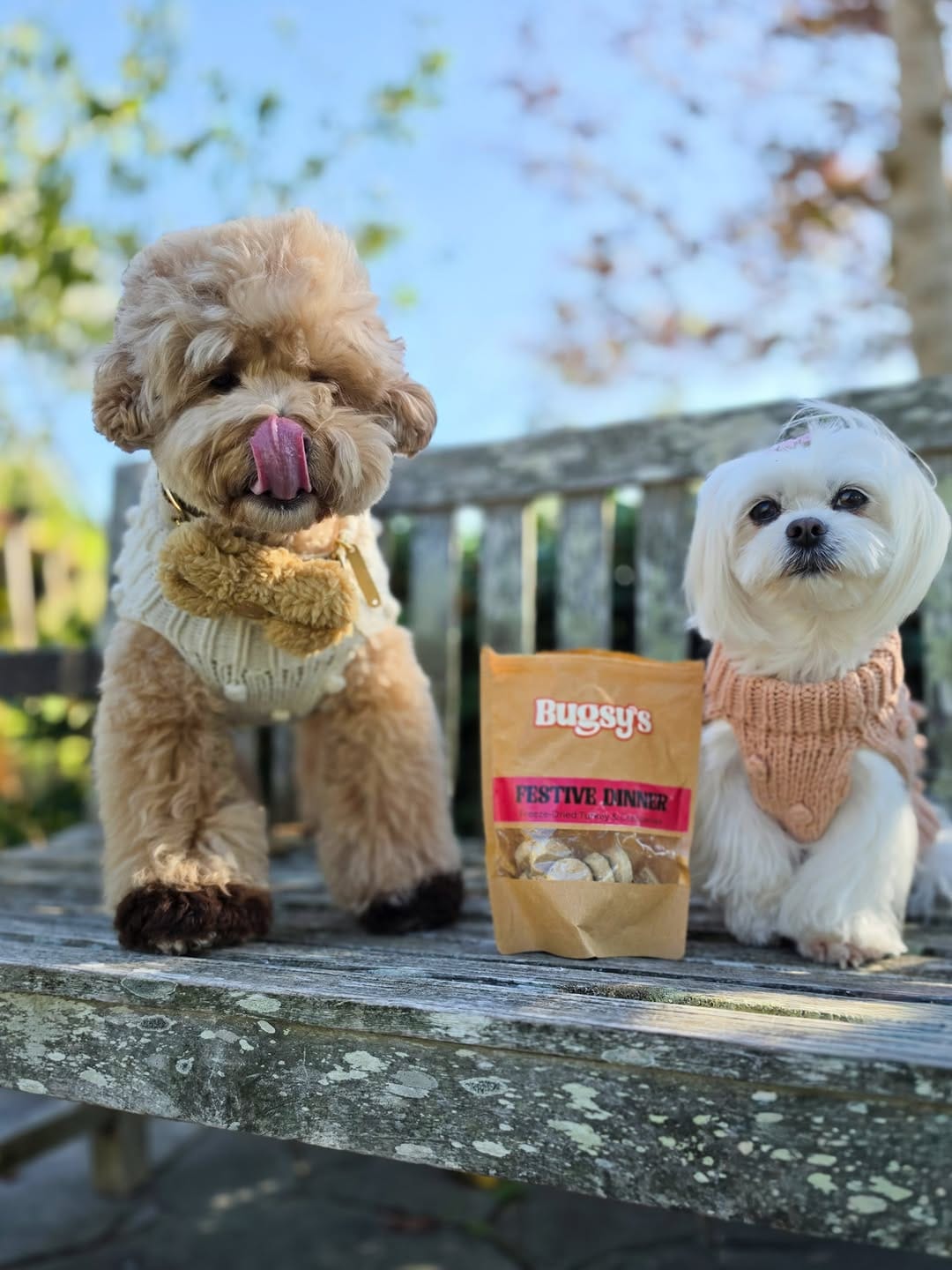 Post 8 by Bugsy Holistic Pet Products on Instagram (carousel)