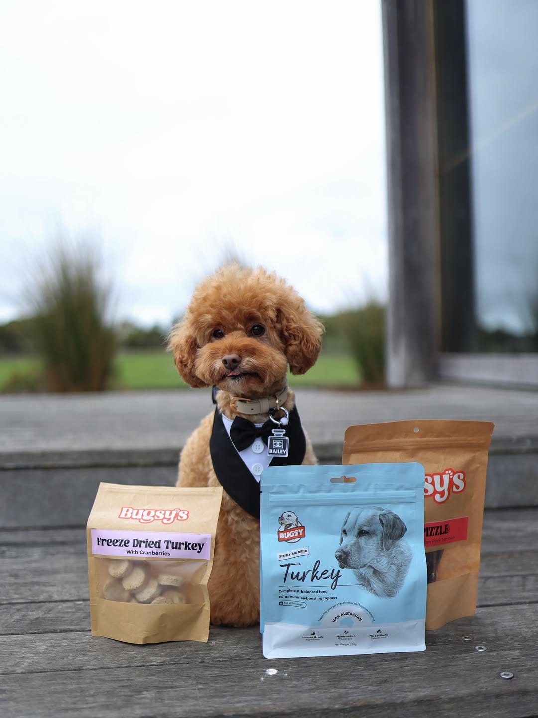 Post 5 by Bugsy Holistic Pet Products on Instagram (carousel)
