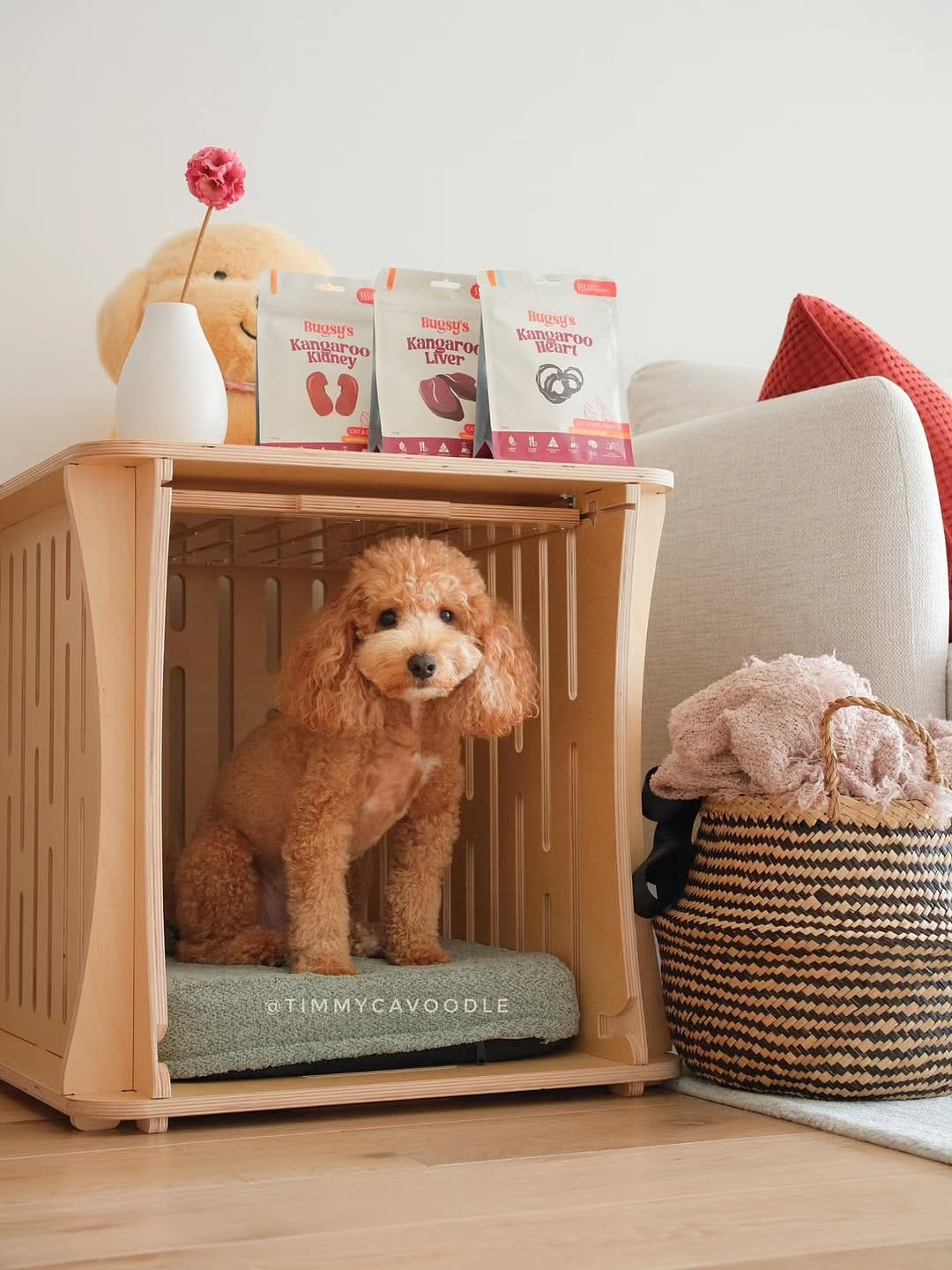 Post 6 by Bugsy Holistic Pet Products on Instagram (carousel)