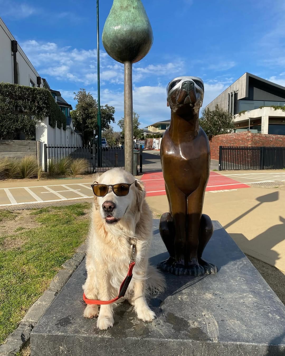 Post 5 by Cooper Anton ❤️🐾 on Instagram (carousel)