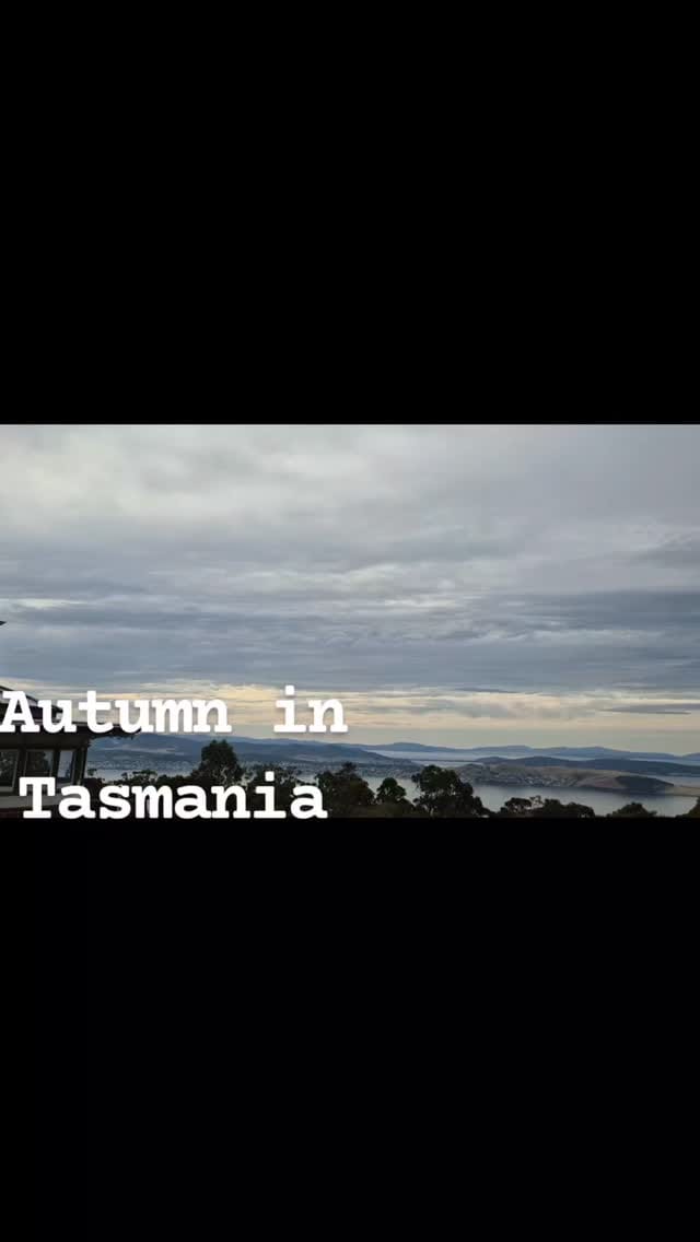 Post 6 by Tasmaniawhyweloveit on Instagram (video)