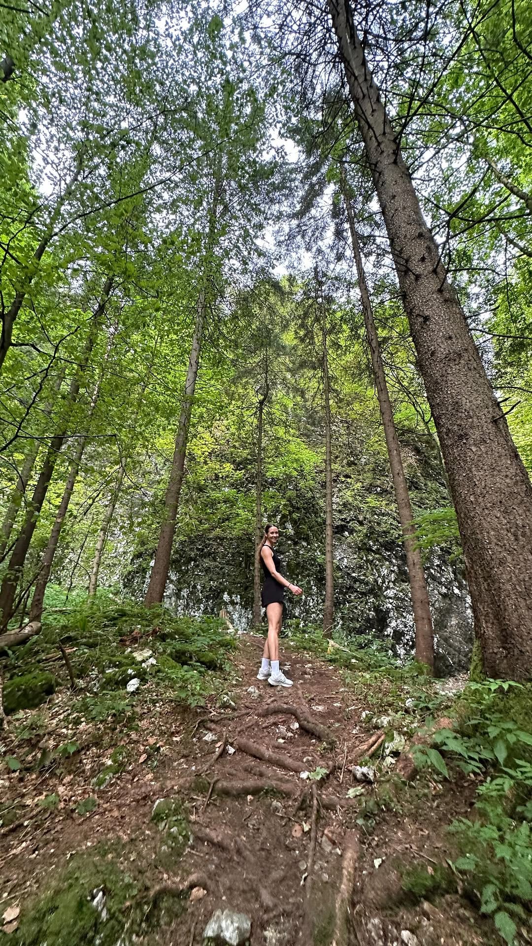 Post 5 by Clare Gibson on Instagram (video)