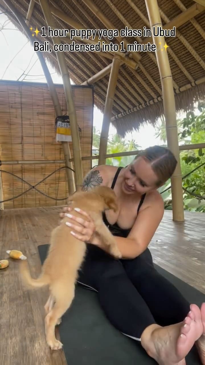 Post 6 by Cara Filipsons on Instagram (video)