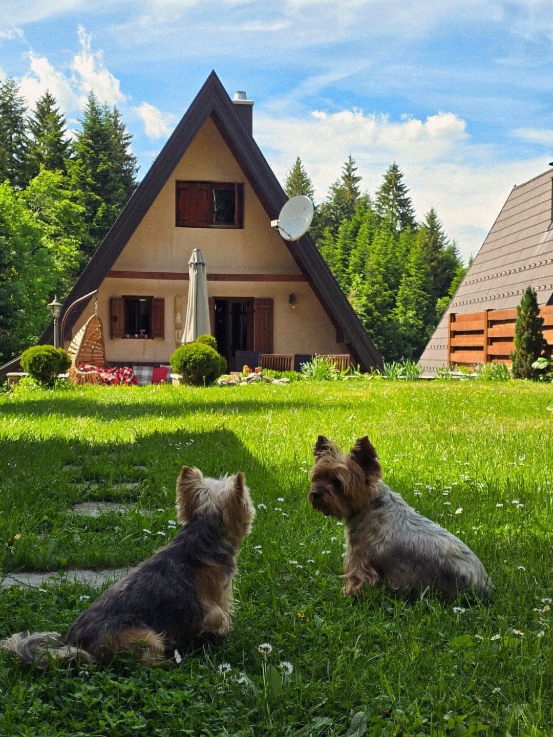 Post 1 by Planinska Koliba Tara on Instagram (image)