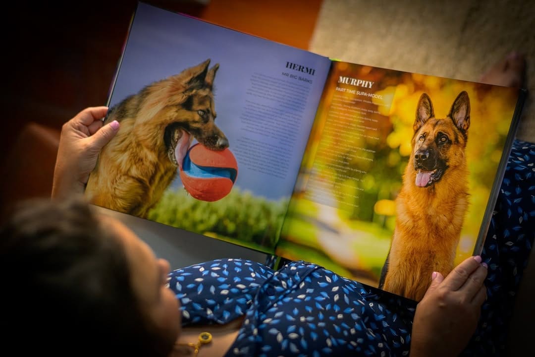 Post 10 by Shoot the Dog on Instagram (image)
