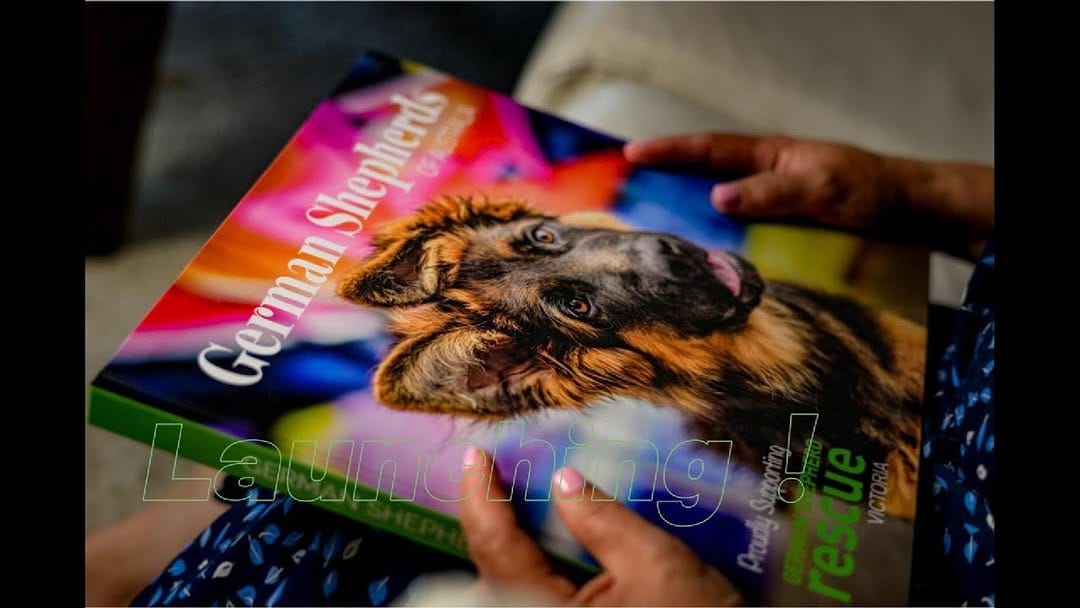 Post 5 by Shoot the Dog on Instagram (carousel)