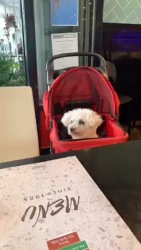Post 10 by Amber Wallace on Instagram (video)