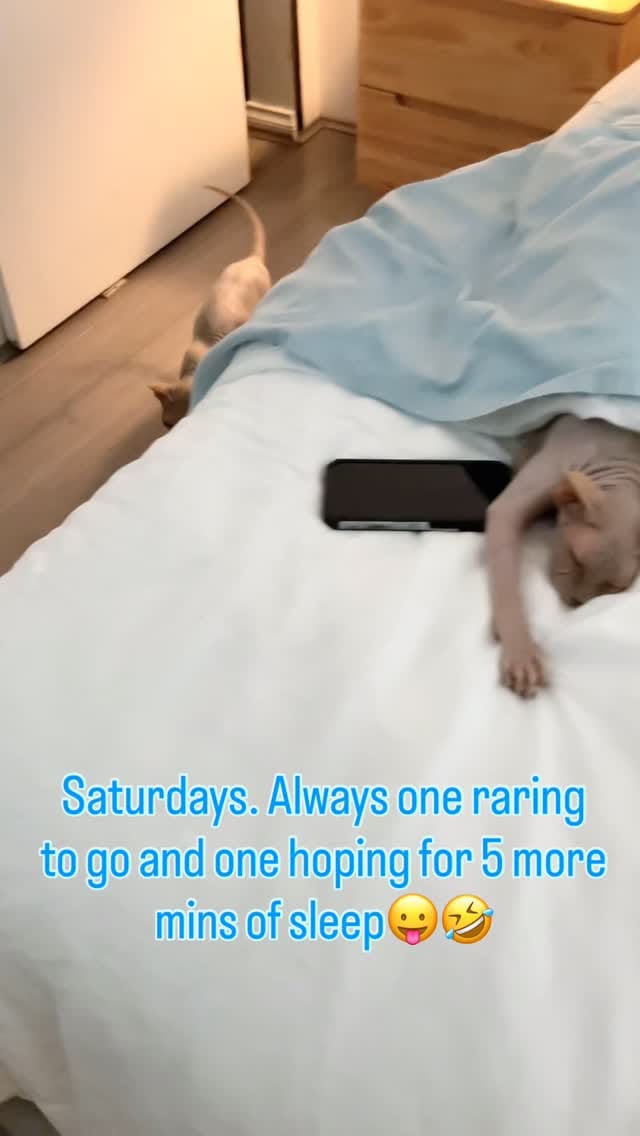 Post 6 by Bradley Matthews on Instagram (video)