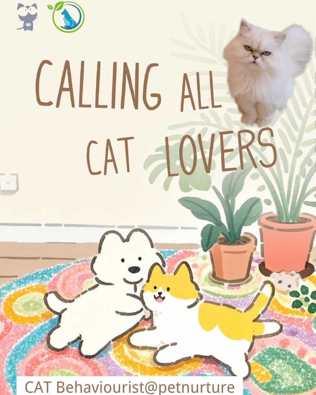 Post 10 by YUMIAO Cat Cafe 🐱☕️ on Instagram (image)
