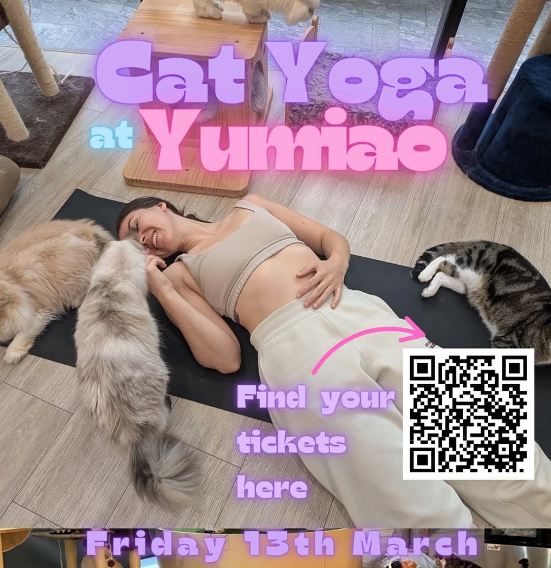 Post 5 by YUMIAO Cat Cafe 🐱☕️ on Instagram (image)