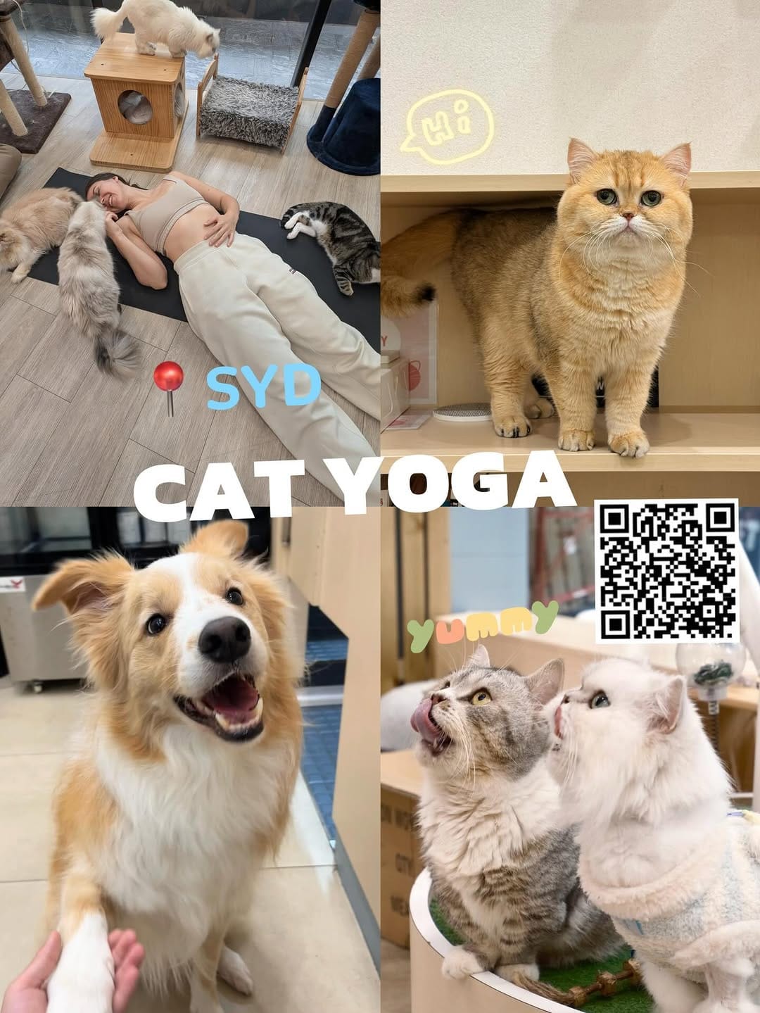 Post 2 by YUMIAO Cat Cafe 🐱☕️ on Instagram (carousel)