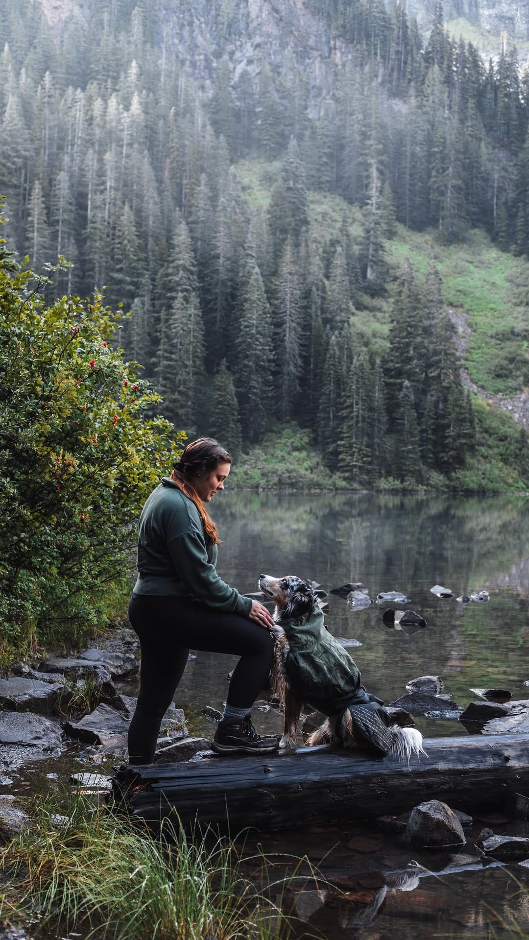 Post 6 by Katelyn + The Pack | PNW Adventures on Instagram (video)