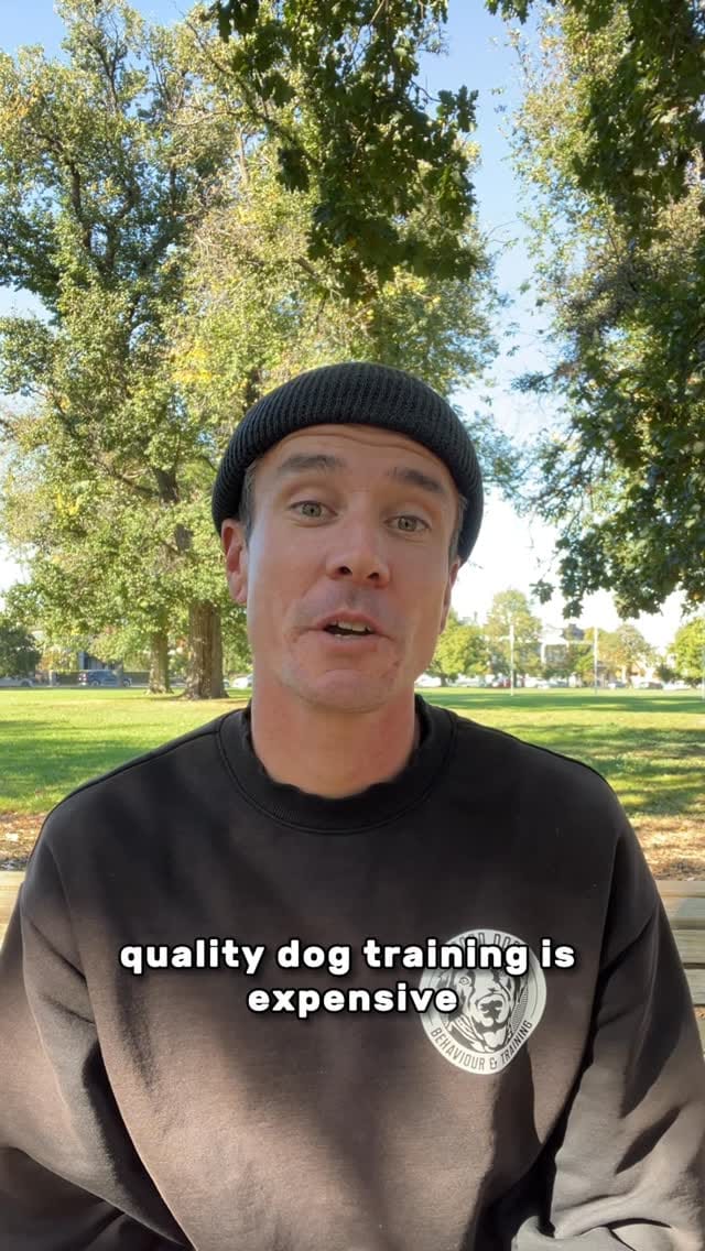 Post 3 by Good Dog Behaviour & Training on Instagram (video)