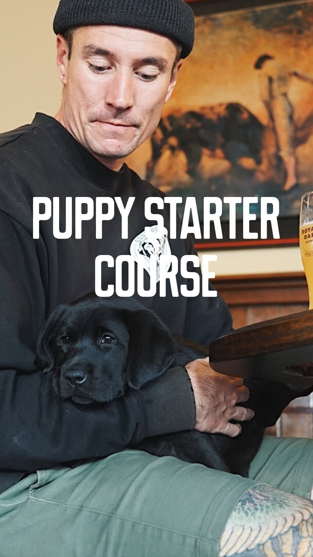 Post 9 by Good Dog Behaviour & Training on Instagram (video)