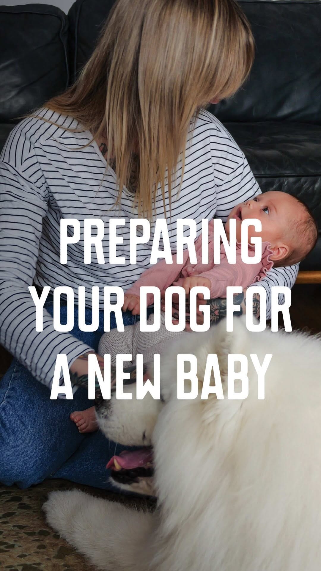 Post 10 by Good Dog Behaviour & Training on Instagram (video)