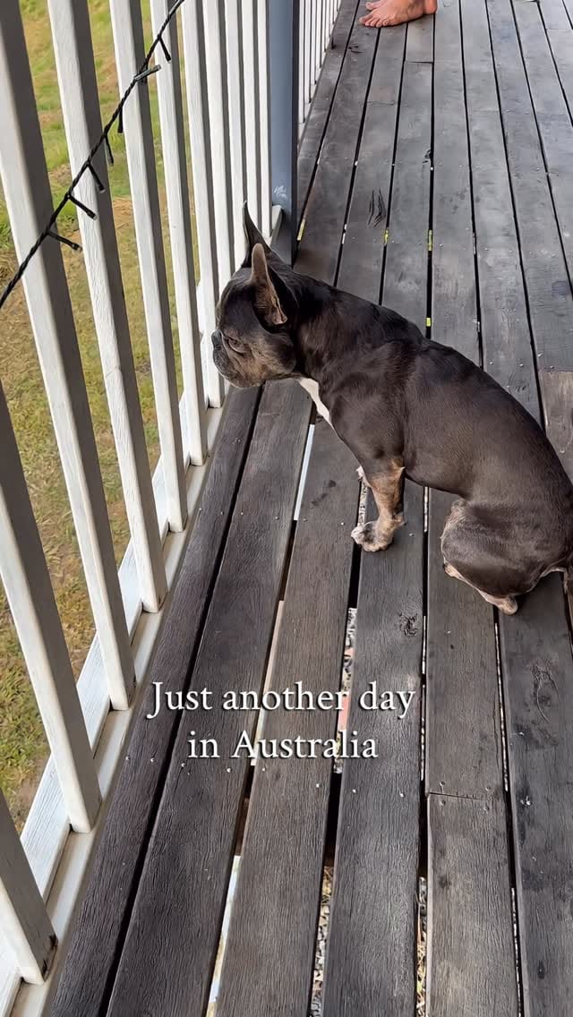 Post 10 by Rebecca Bebbington on Instagram (video)