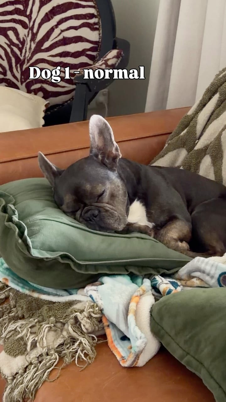 Post 7 by Rebecca Bebbington on Instagram (video)