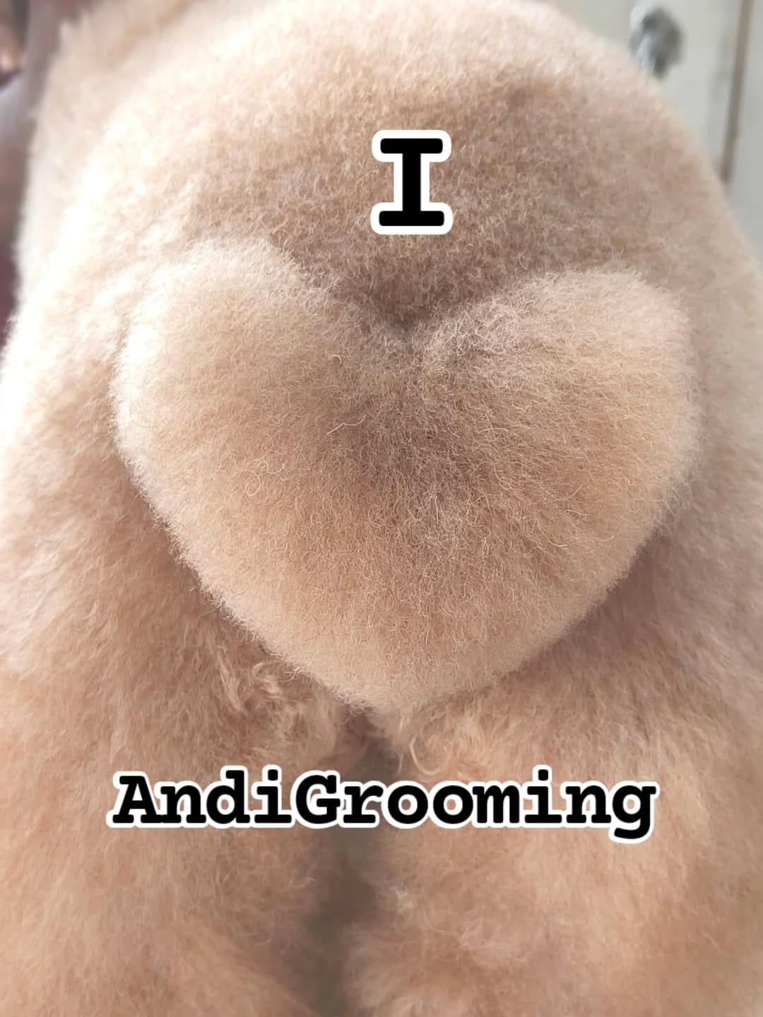 Post 8 by Andi Surya on Instagram (image)