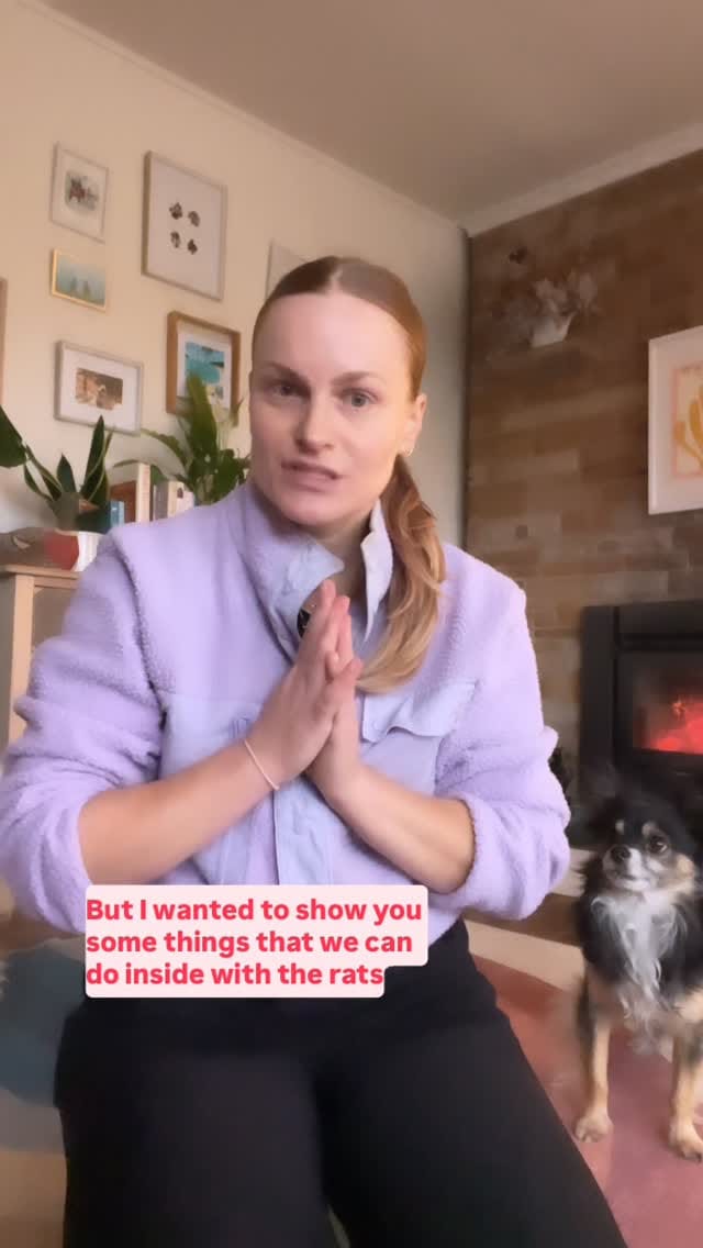 Post 1 by Kat the dog trainer - The Happy Hound Initiative on Instagram (video)