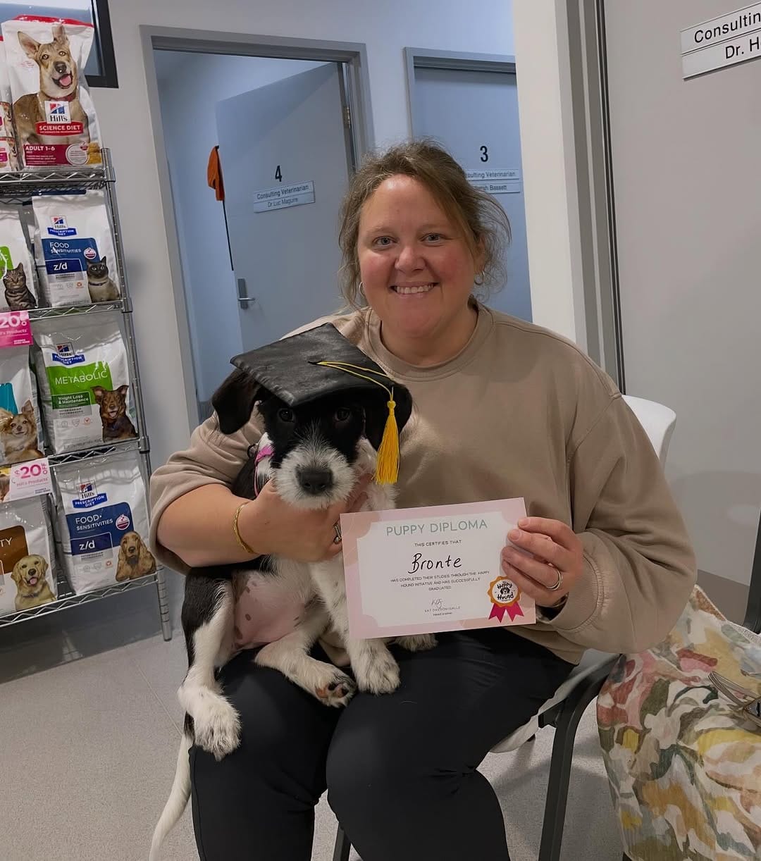 Post 2 by Kat the dog trainer - The Happy Hound Initiative on Instagram (carousel)