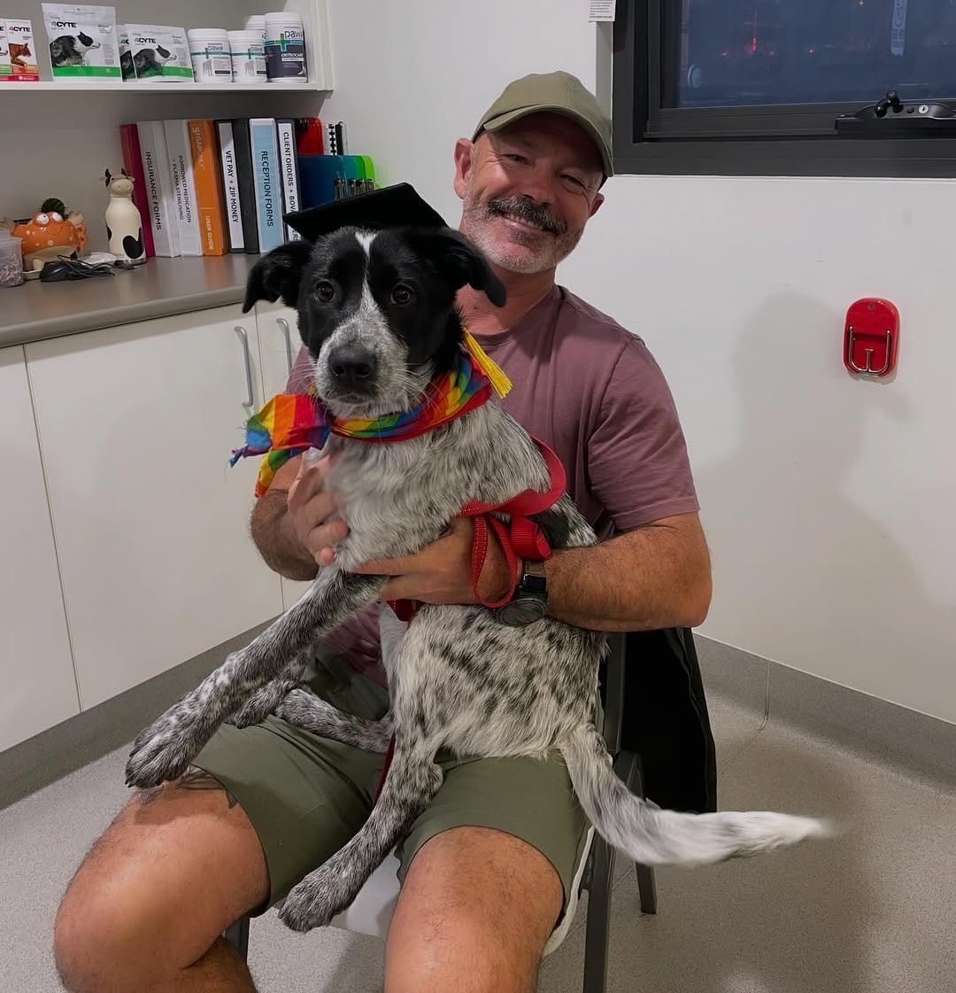 Post 6 by Kat the dog trainer - The Happy Hound Initiative on Instagram (carousel)