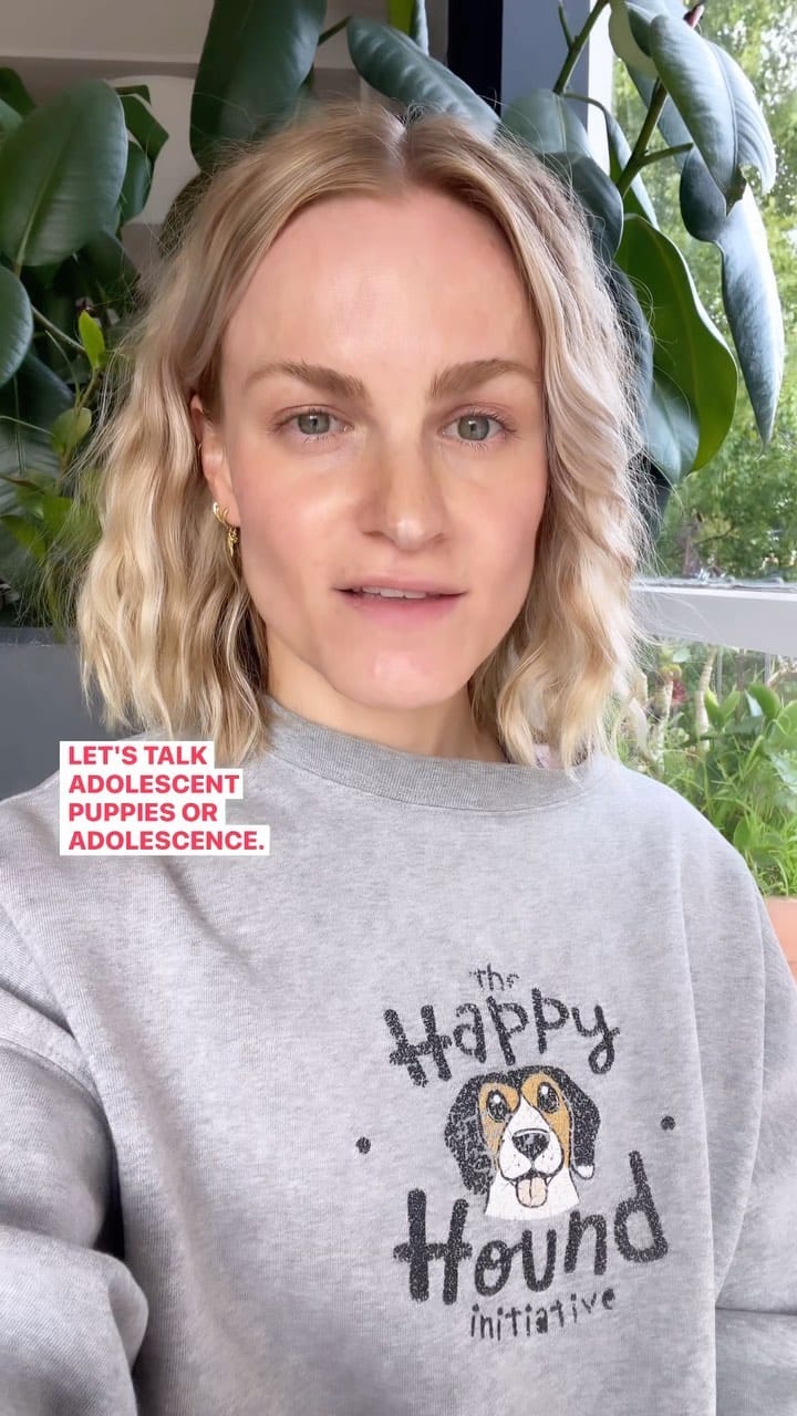 Post 9 by Kat the dog trainer - The Happy Hound Initiative on Instagram (video)