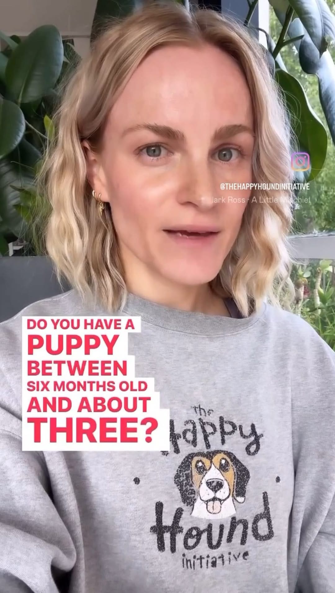 Post 8 by Kat the dog trainer - The Happy Hound Initiative on Instagram (video)
