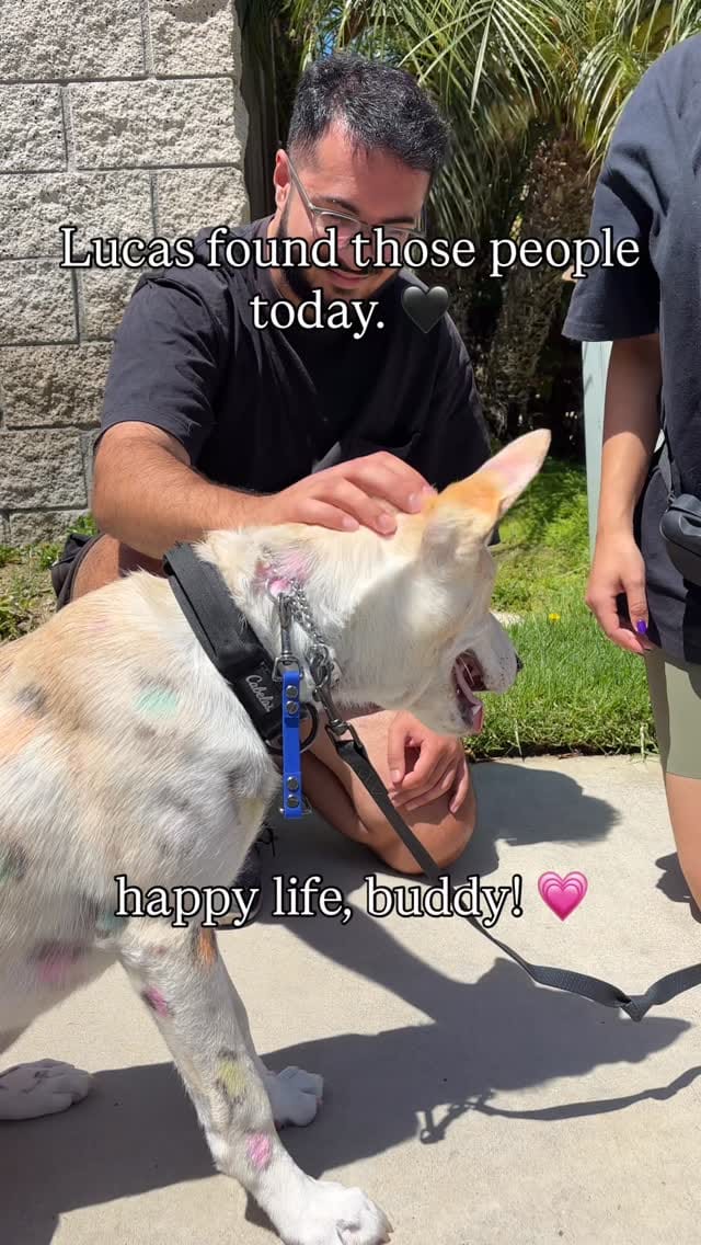 Post 4 by Shiloh’s Animal Rescue on Instagram (video)