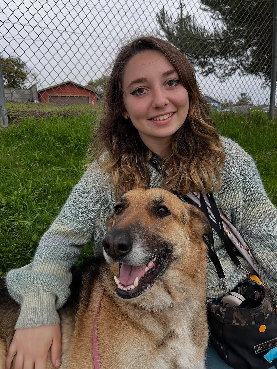 Post 9 by Shiloh’s Animal Rescue on Instagram (carousel)