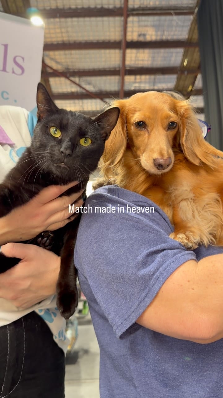 Post 2 by Happy Tails Animal Rescue Inc. on Instagram (video)