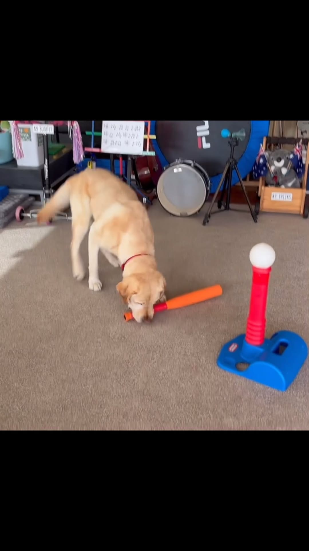 Post 10 by Lizzy on Instagram (video)