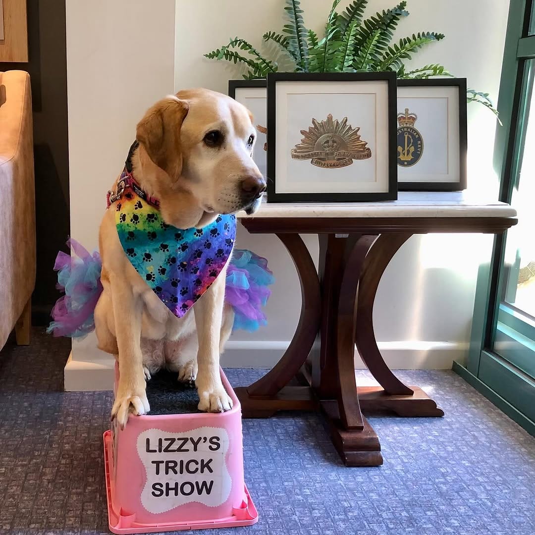 Post 3 by Lizzy on Instagram (image)