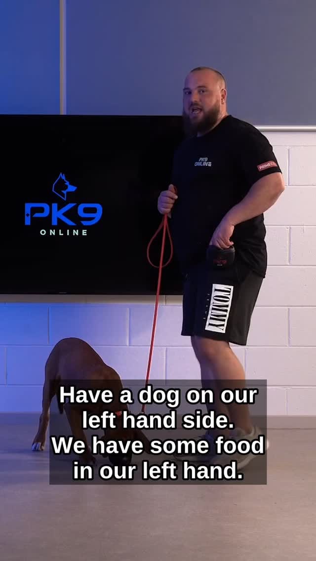 Post 10 by Positive K9 Training - Dog Training on Instagram (video)