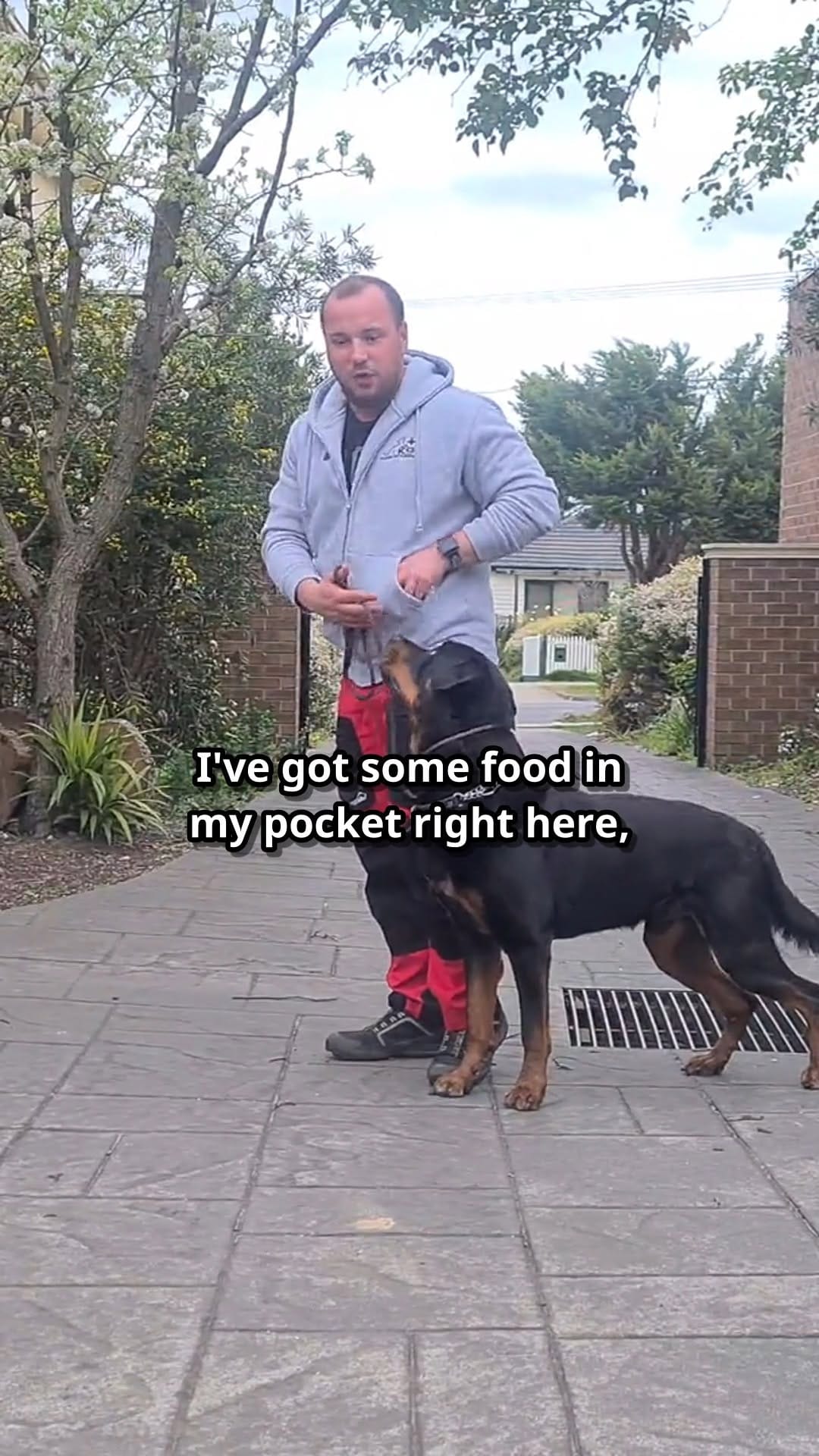 Post 4 by Positive K9 Training - Dog Training on Instagram (video)