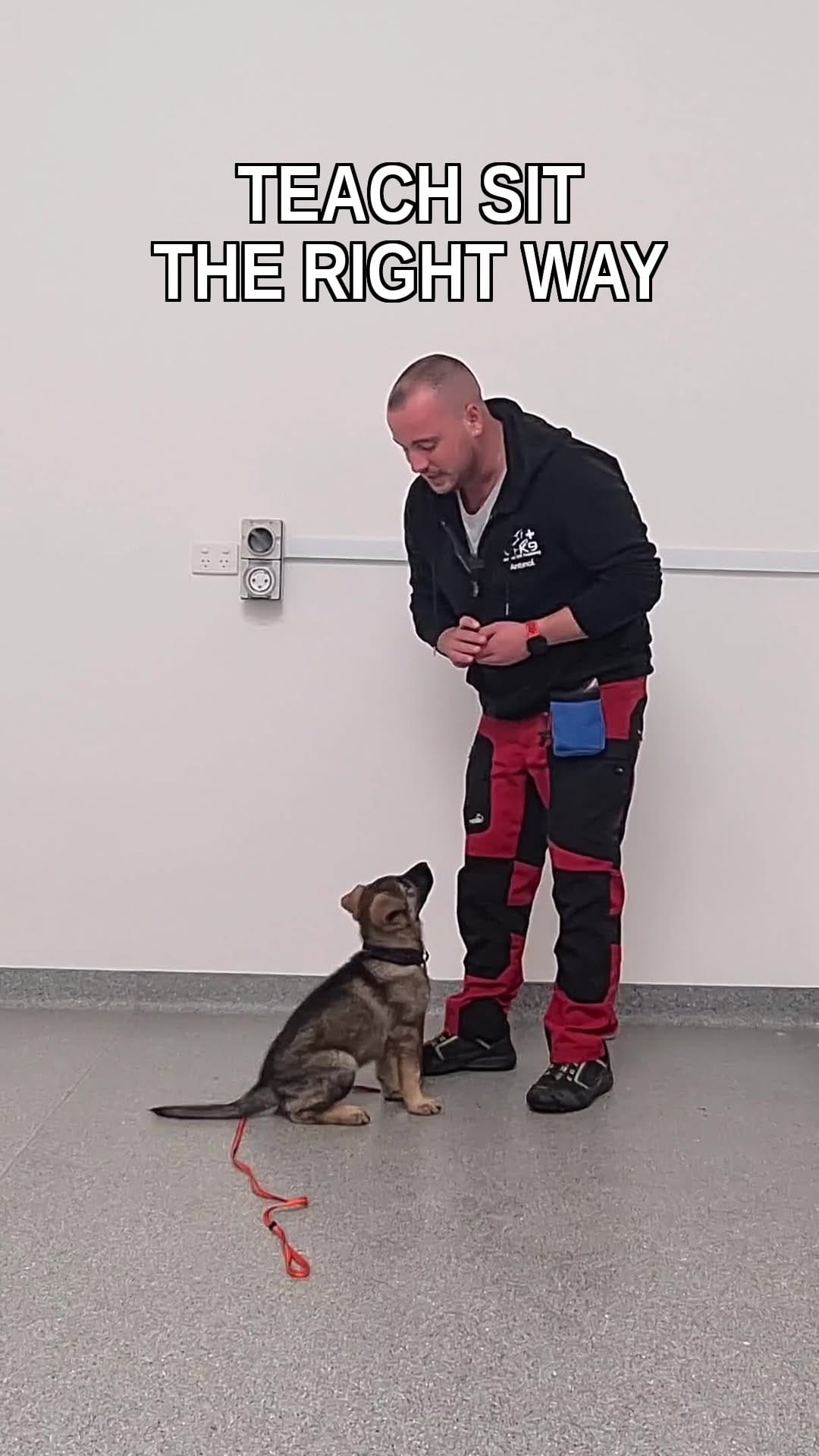 Post 5 by Positive K9 Training - Dog Training on Instagram (video)