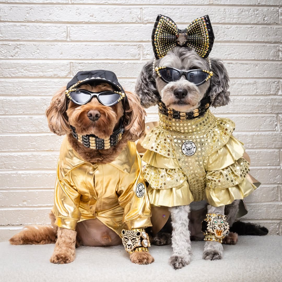Post 8 by Angus & Layla on Instagram (carousel)