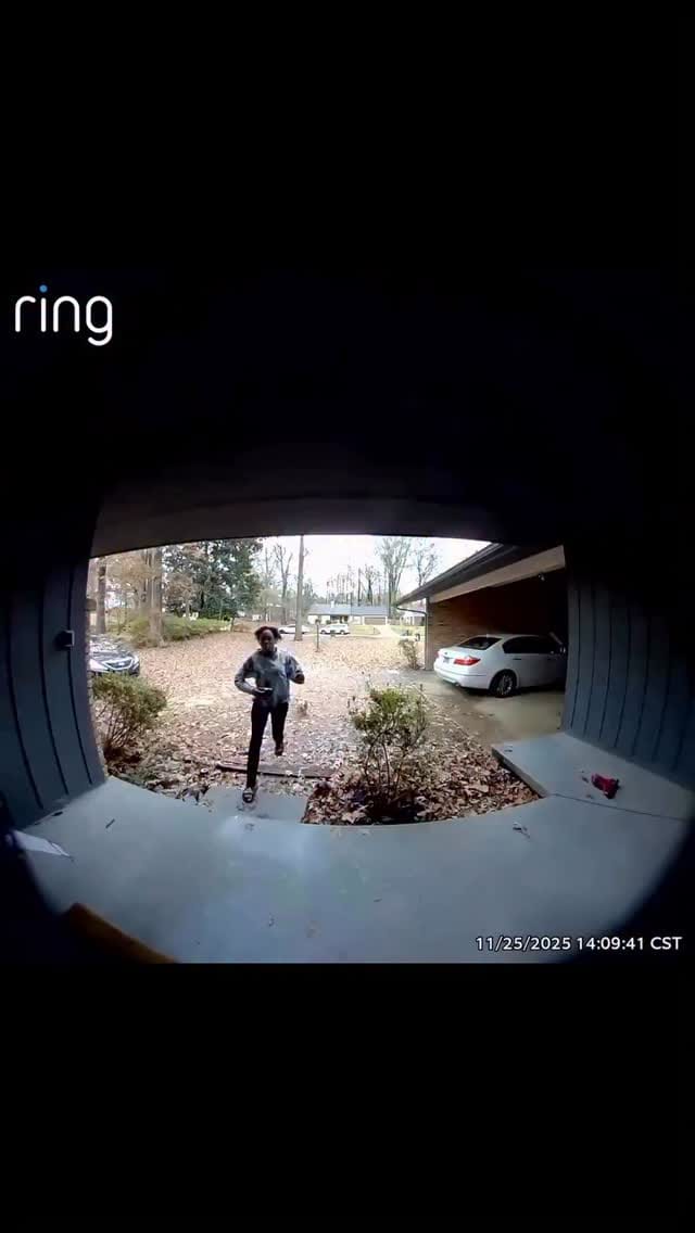 Post 7 by Elijah Boateng | Dog Trainer on Instagram (video)