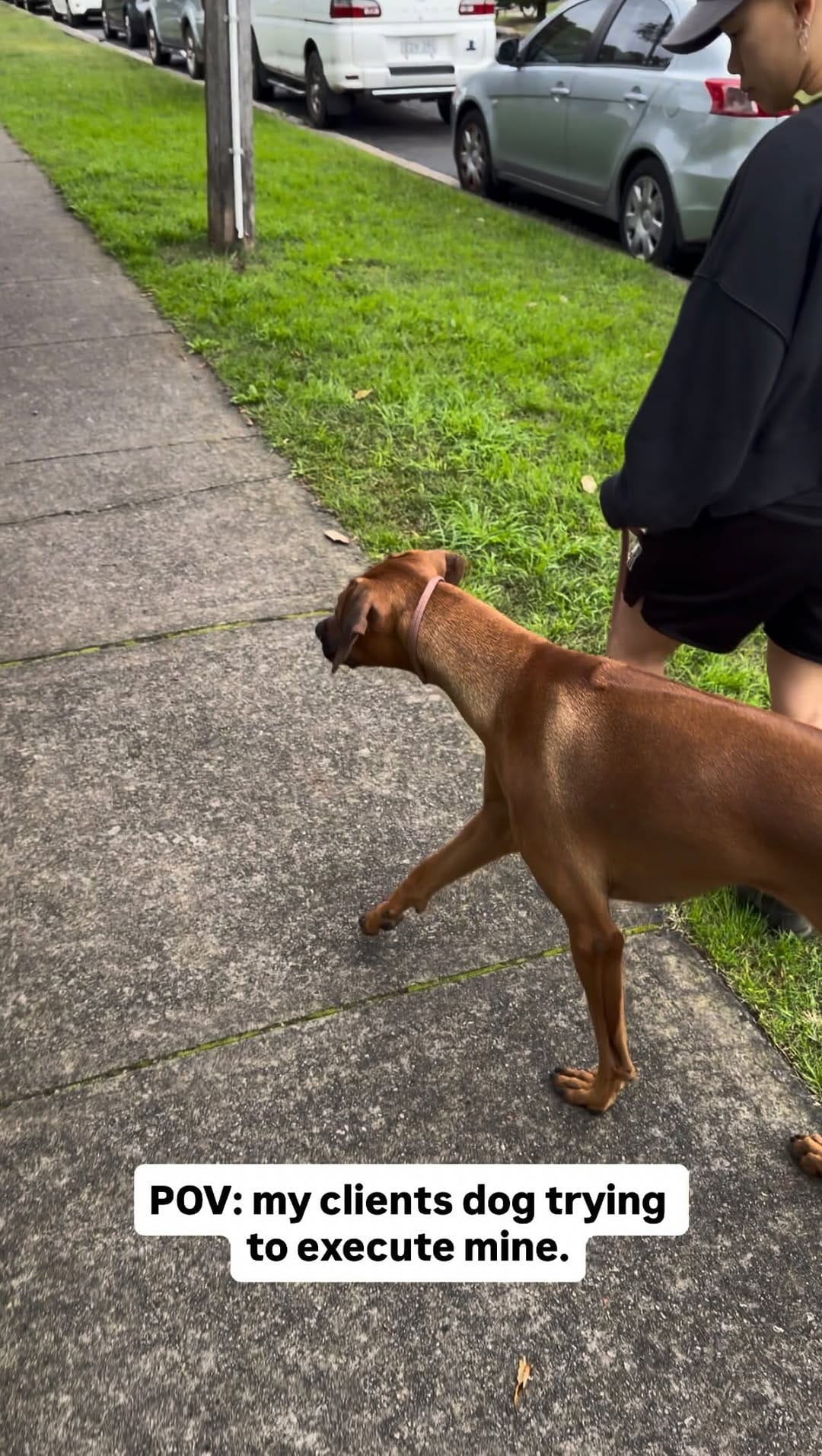 Post 4 by Elijah Boateng | Dog Trainer on Instagram (video)