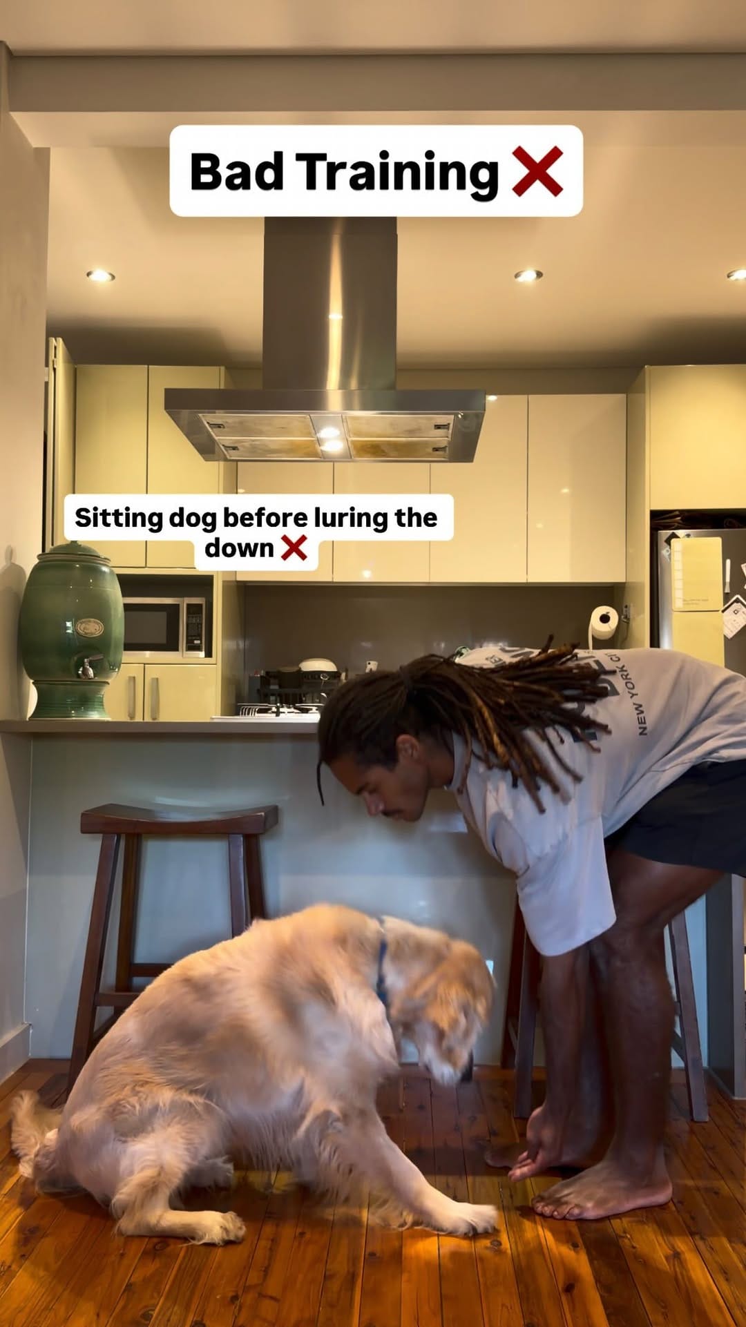 Post 8 by Elijah Boateng | Dog Trainer on Instagram (video)