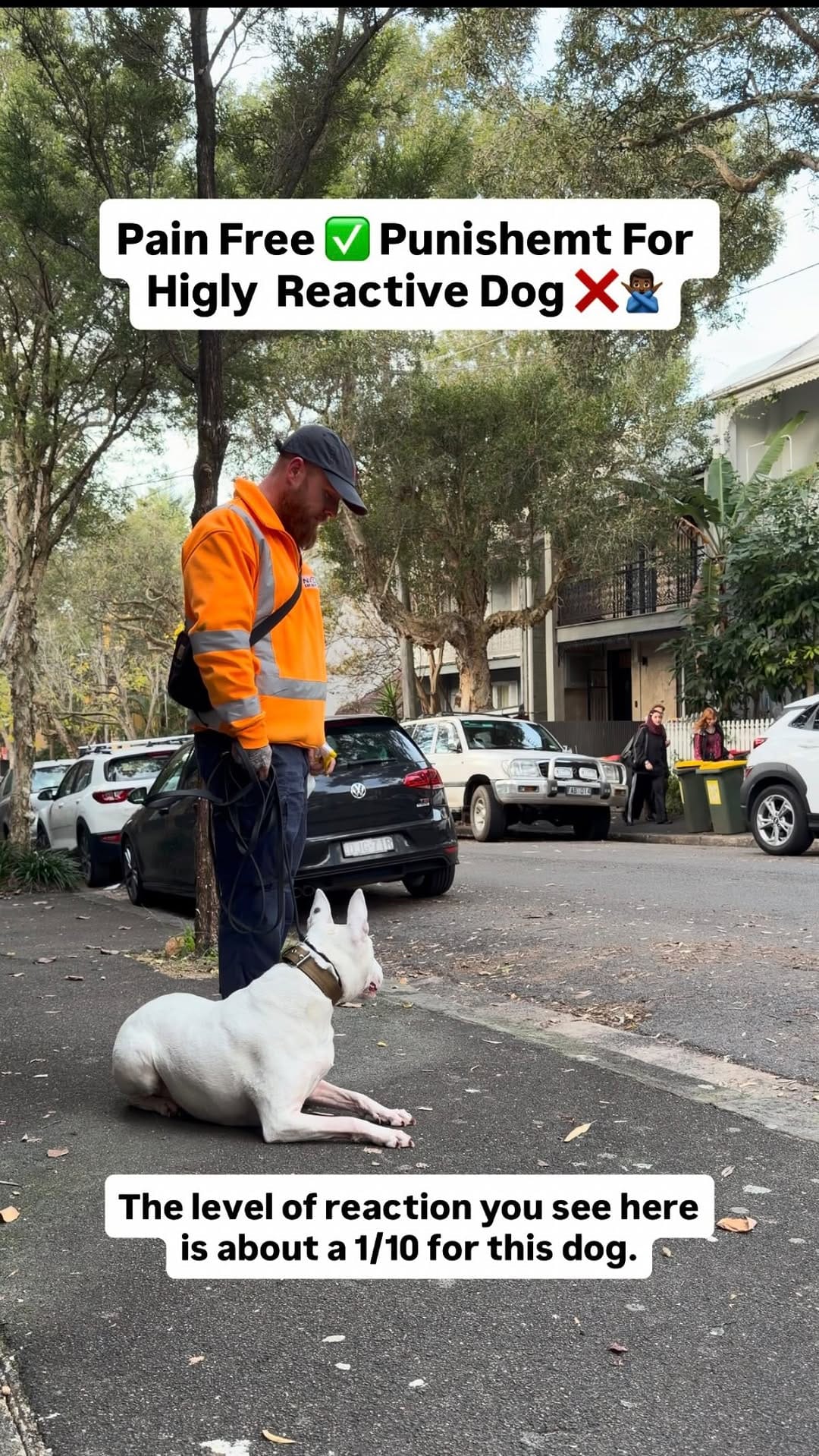 Post 3 by Elijah Boateng | Dog Trainer on Instagram (video)