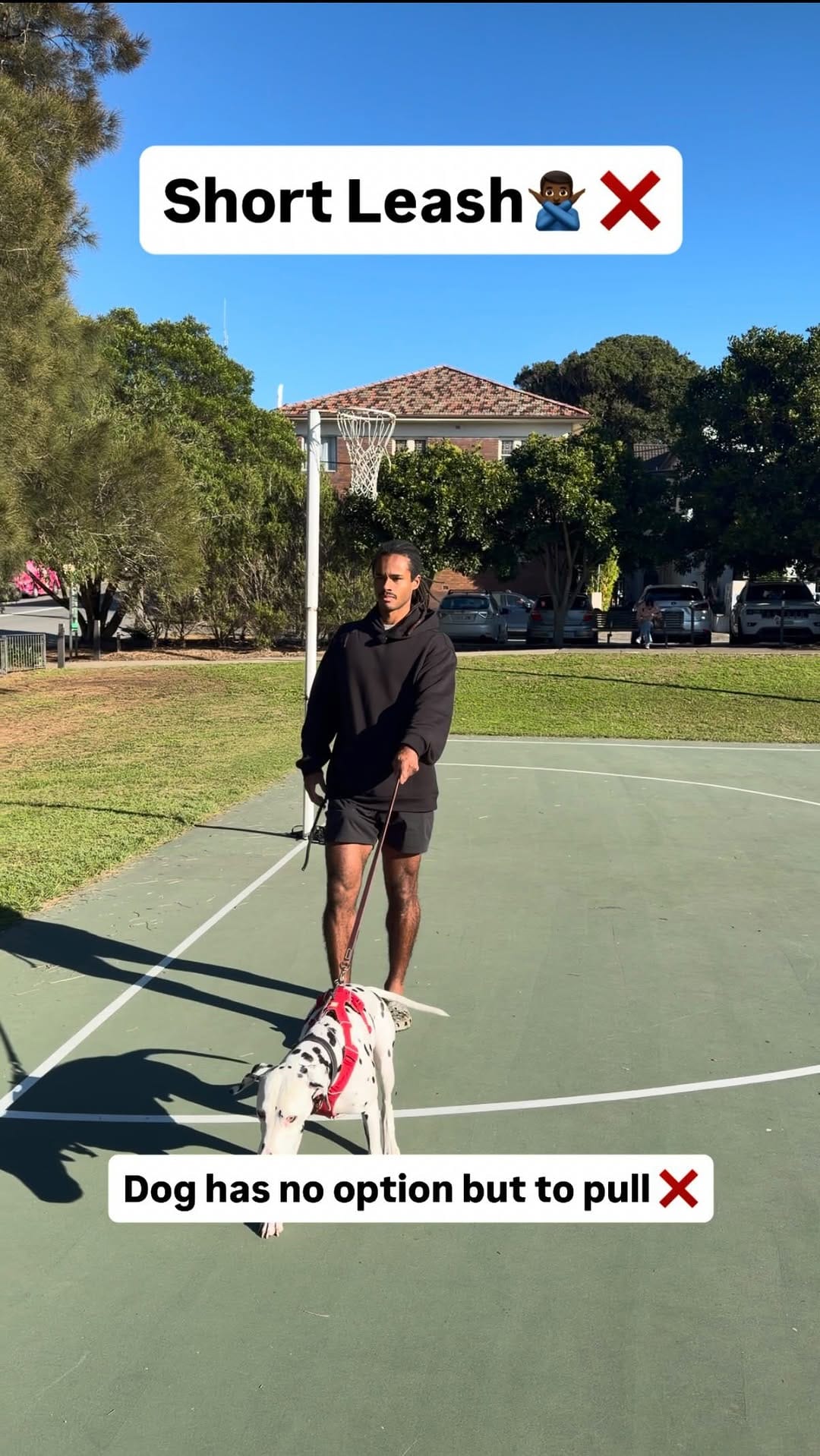 Post 6 by Elijah Boateng | Dog Trainer on Instagram (video)