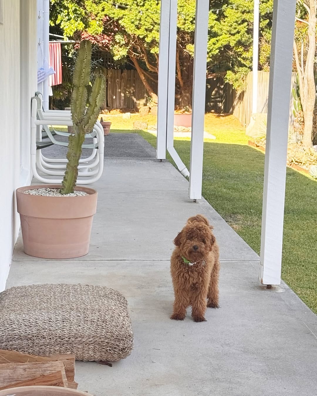 Post 8 by Stay Casita on Instagram (image)